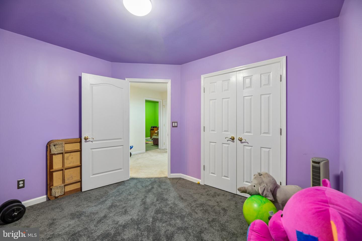 8405 Mineral Springs Dr Property Photo 48