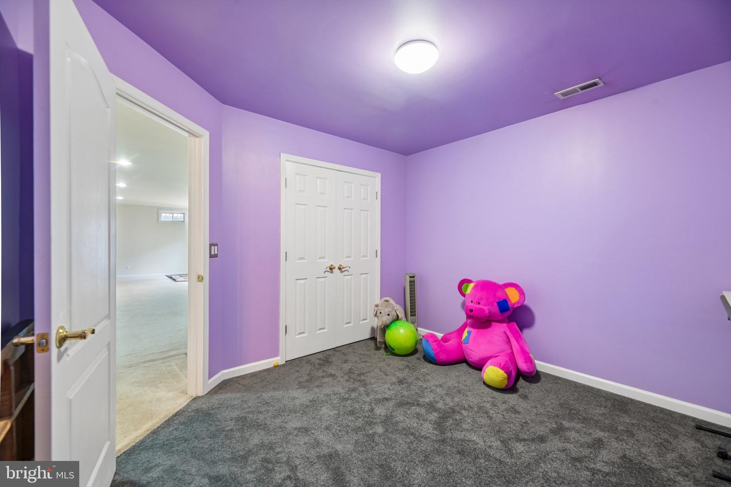 8405 Mineral Springs Dr Property Photo 49