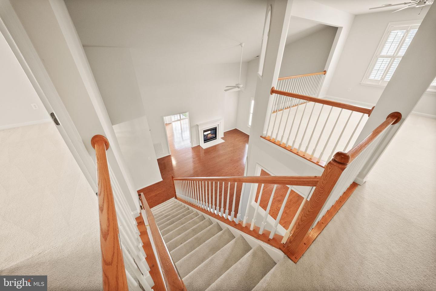 13217 Triple Crown Loop Property Photo 23