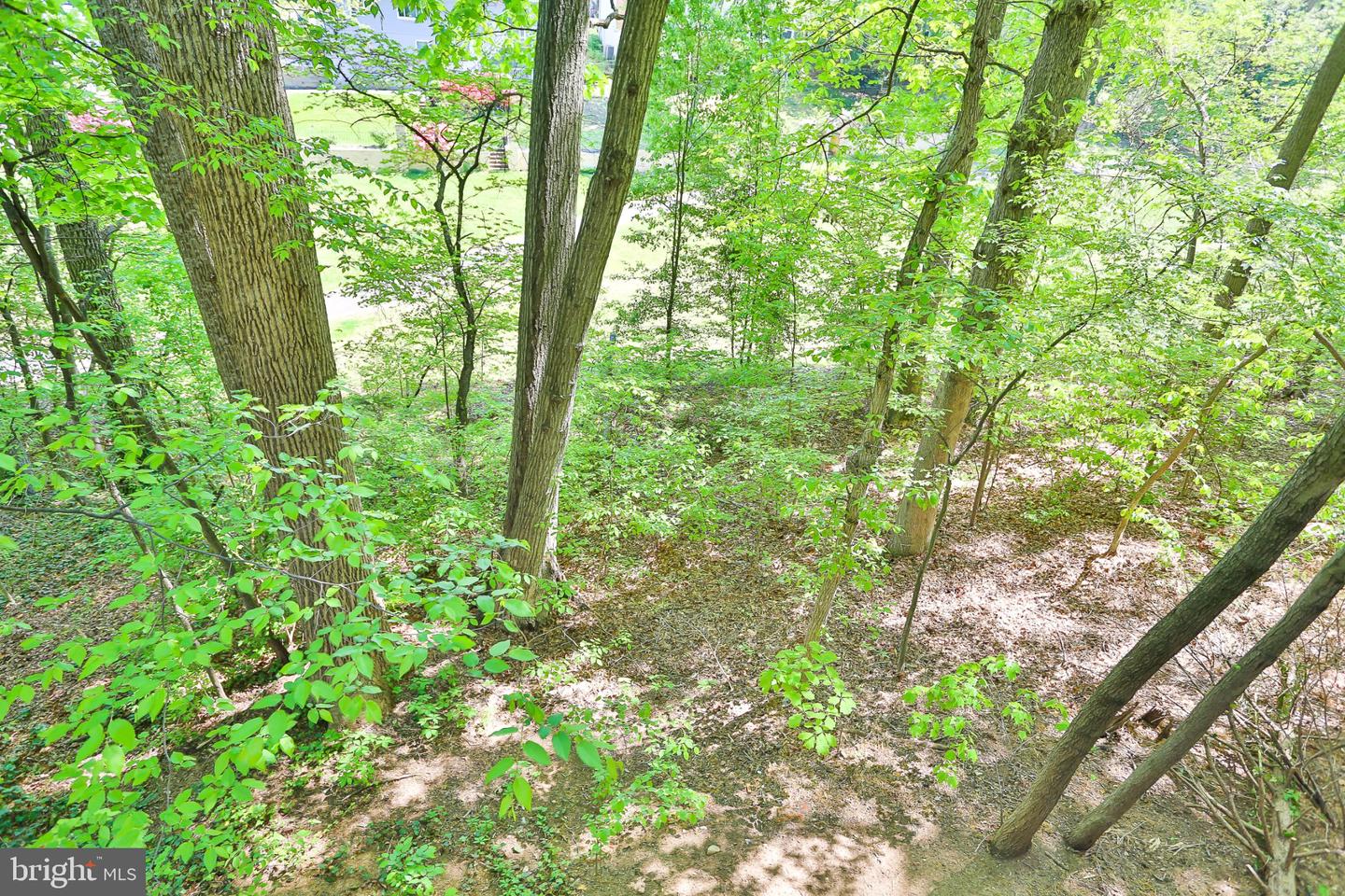 15979 Cove Ln Property Photo 19