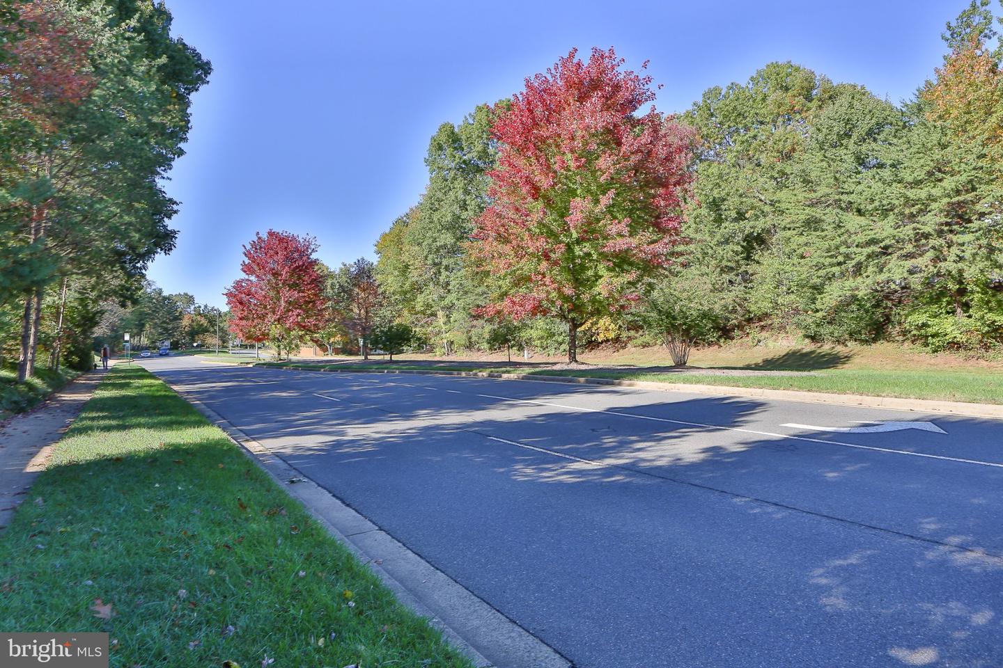 15979 Cove Ln Property Photo 31