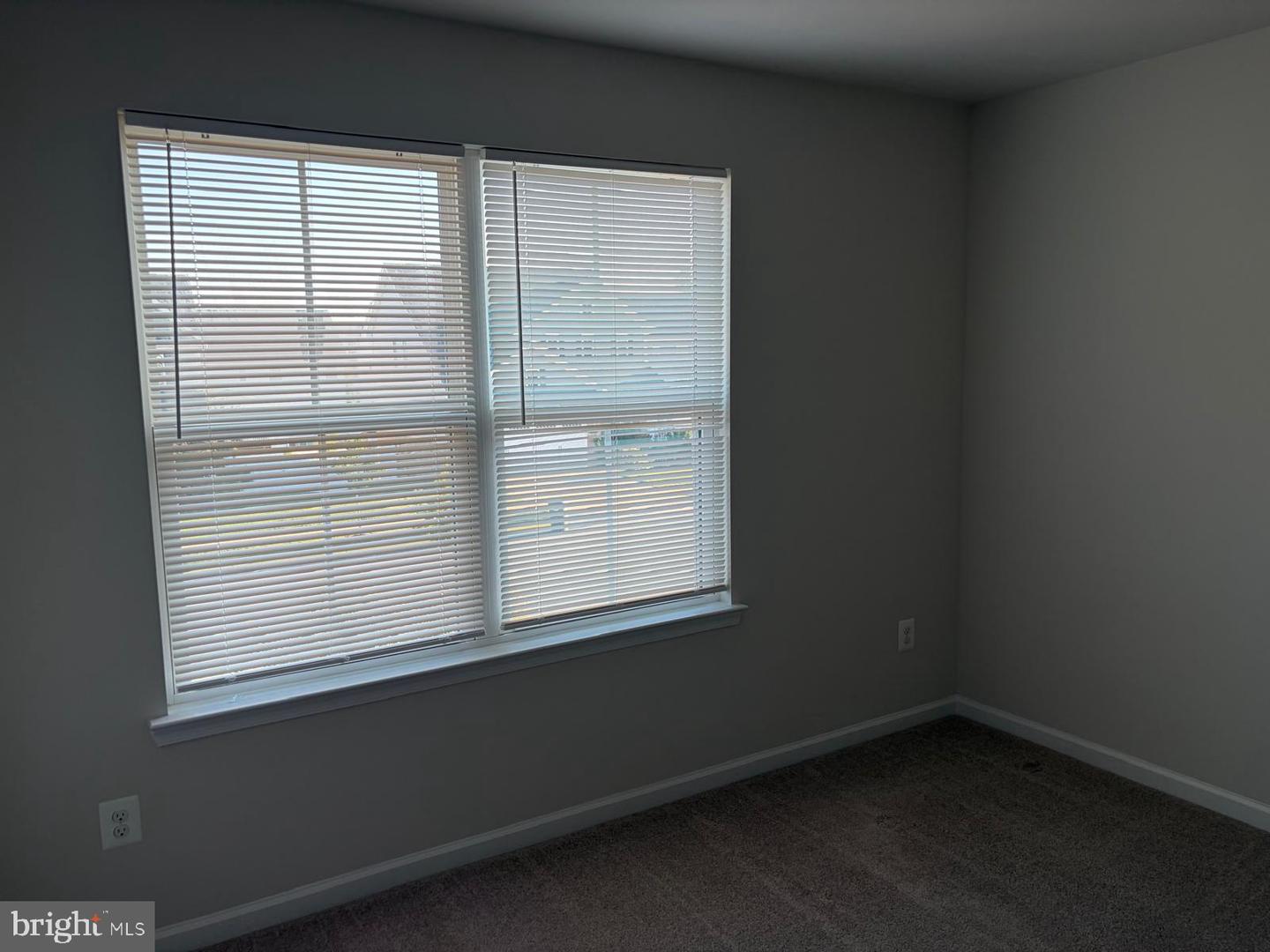 7546 Mint Springs Ct Property Photo 26