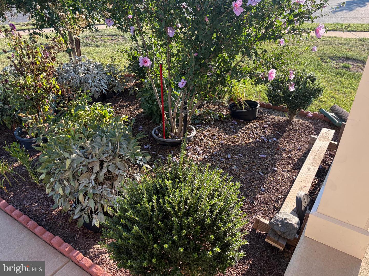 7546 Mint Springs Ct Property Photo 49