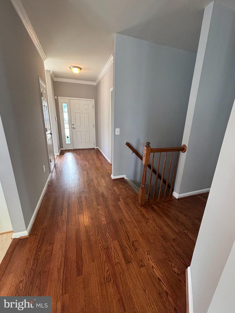 4029 Lunar Eclipse Dr Property Photo 12