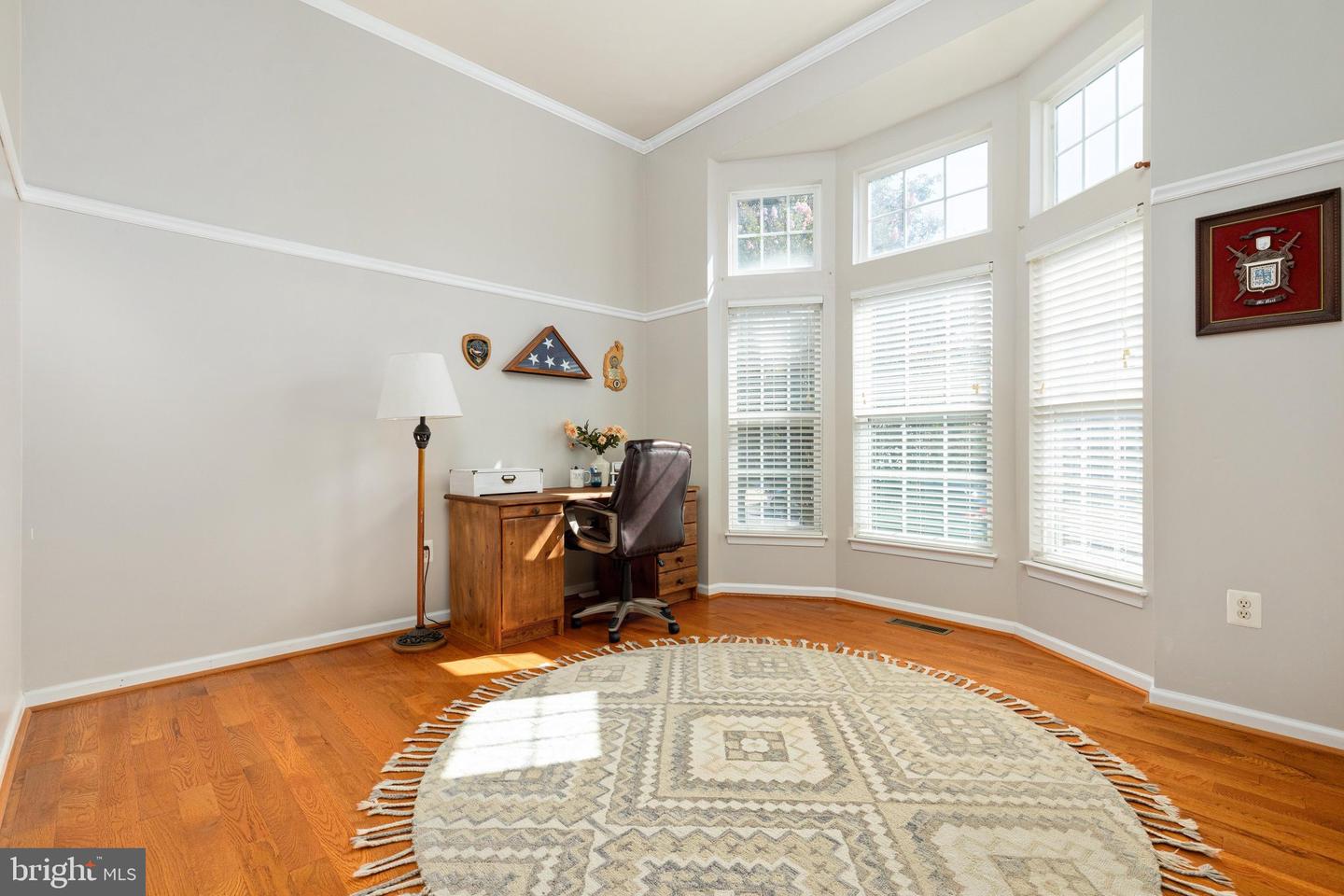 13107 Bigleaf Maple Ct Property Photo 6
