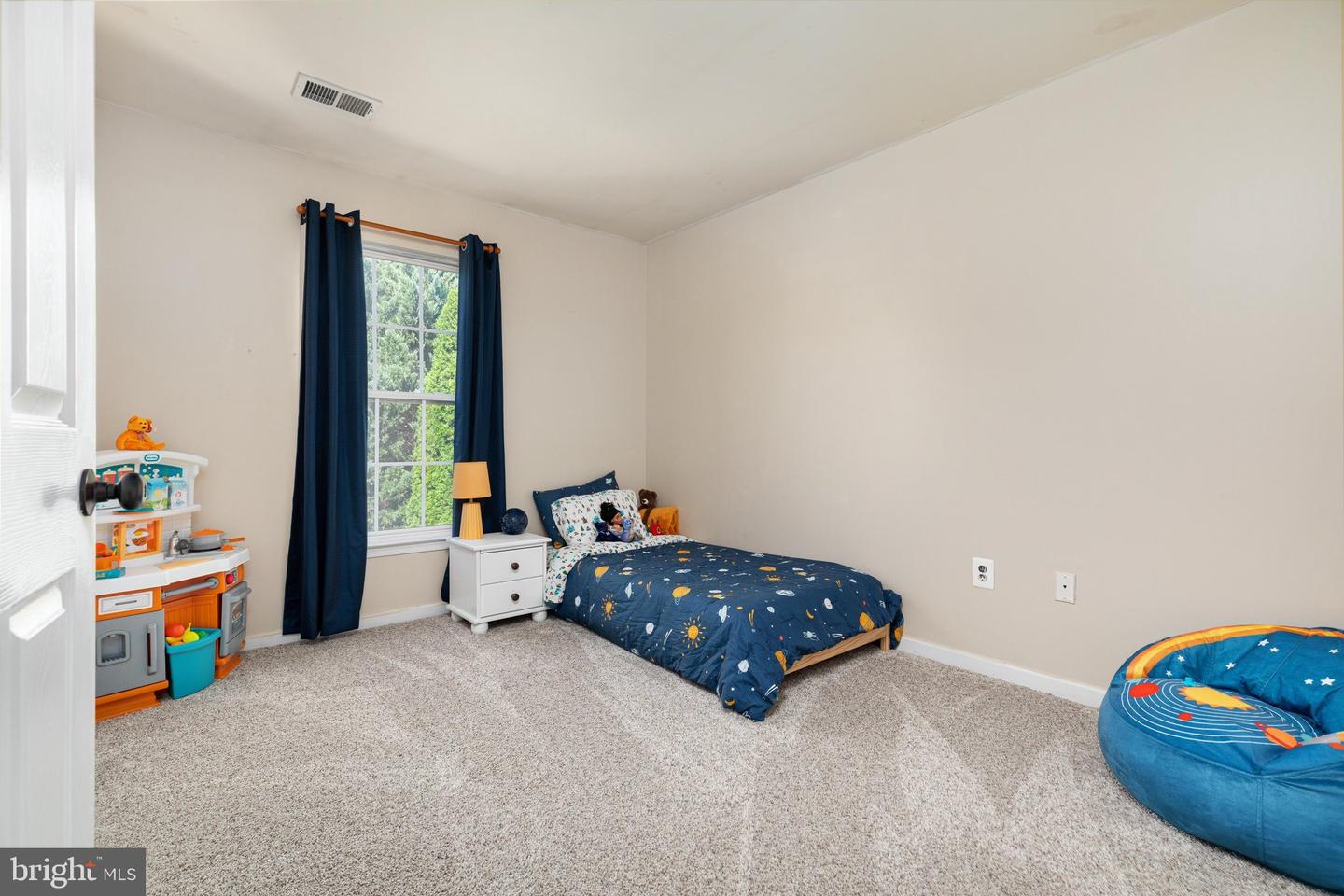 13107 Bigleaf Maple Ct Property Photo 22