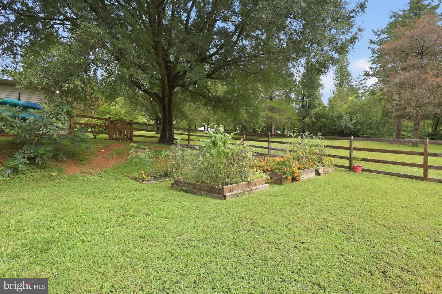 6445 Steeple Chase Ln Property Photo 33