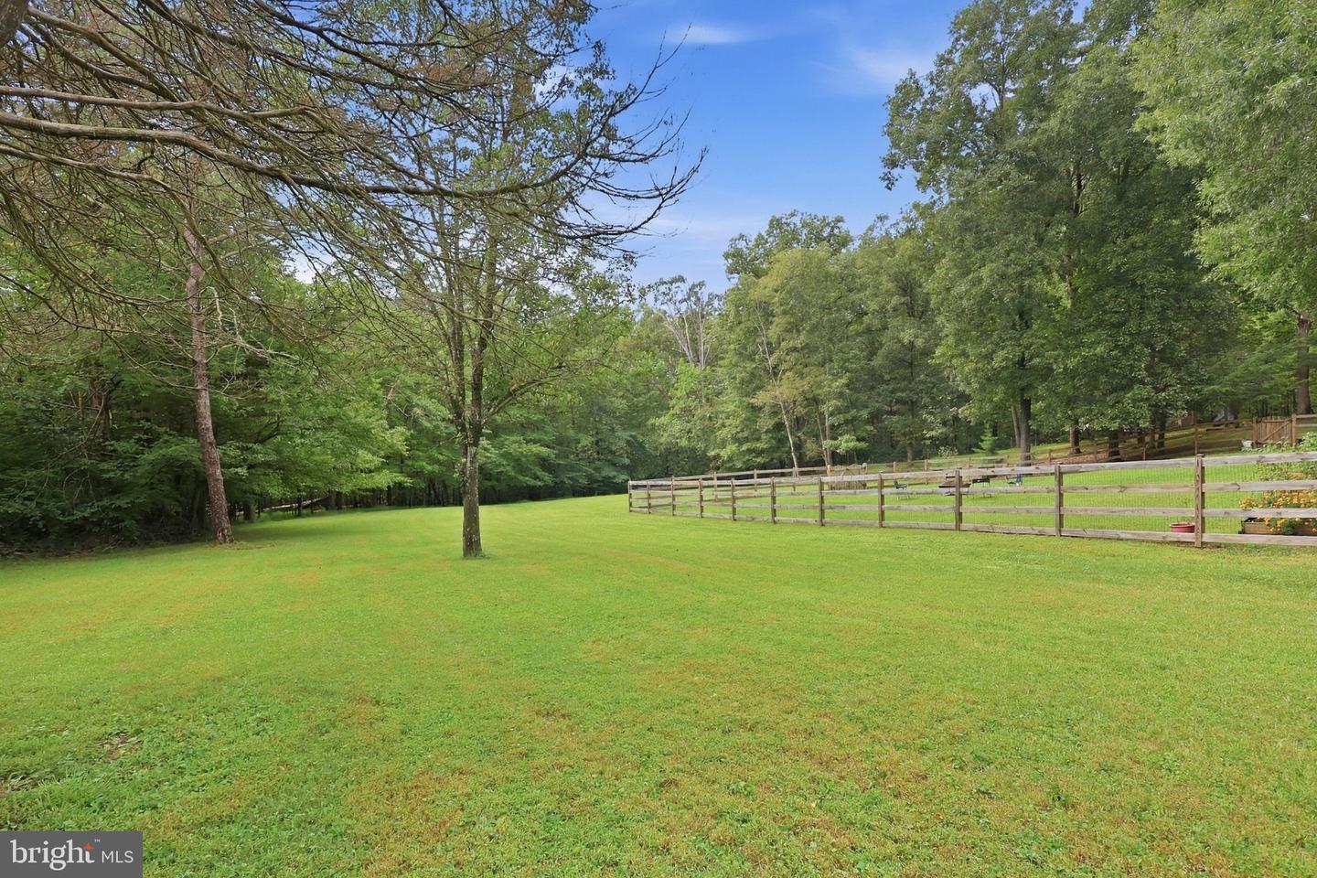 6445 Steeple Chase Ln Property Photo 35