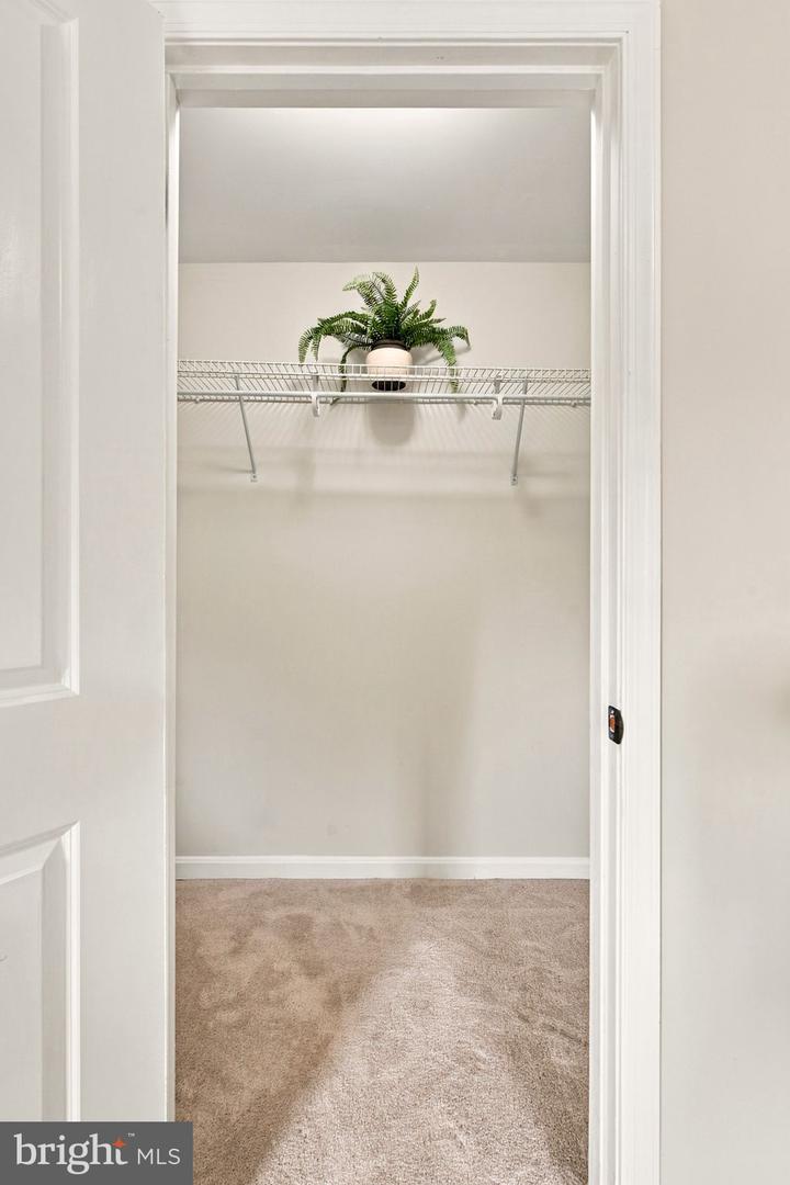 6073 Trident Ln Property Photo 31