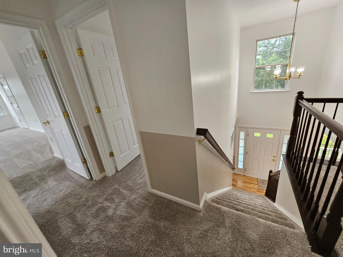 13116 Queensdale Dr Property Photo 67