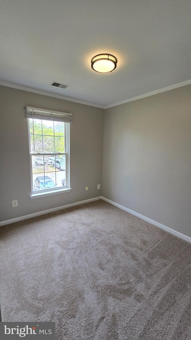 7044 Rogue Ln Property Photo 12