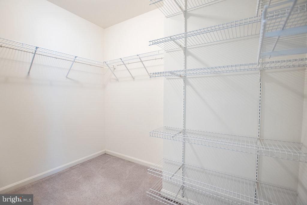 10558 Crooked Branch Ct Property Photo 17