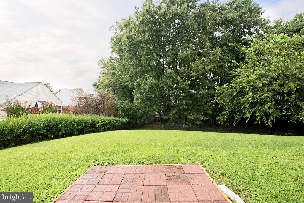 10558 Crooked Branch Ct Property Photo 21