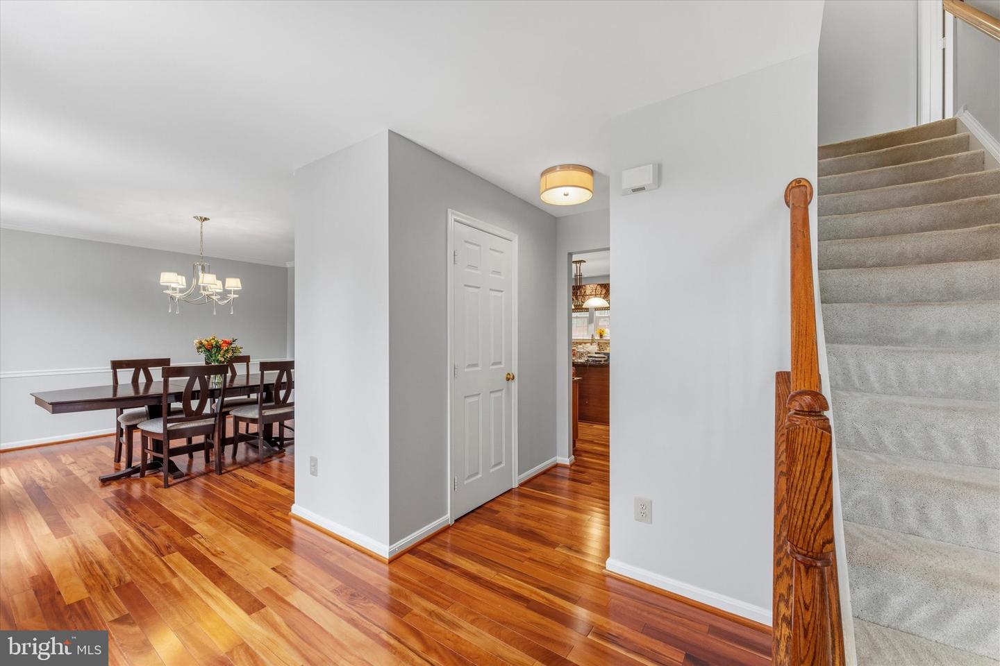 4921 Frishman Ct Property Photo 6