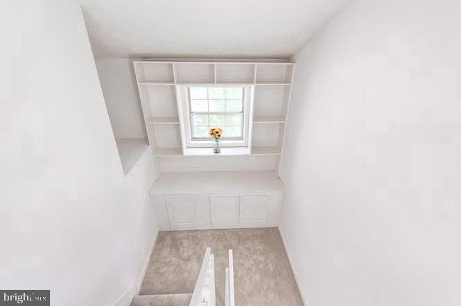 12110 Cardamom Dr #12110 Property Photo 7