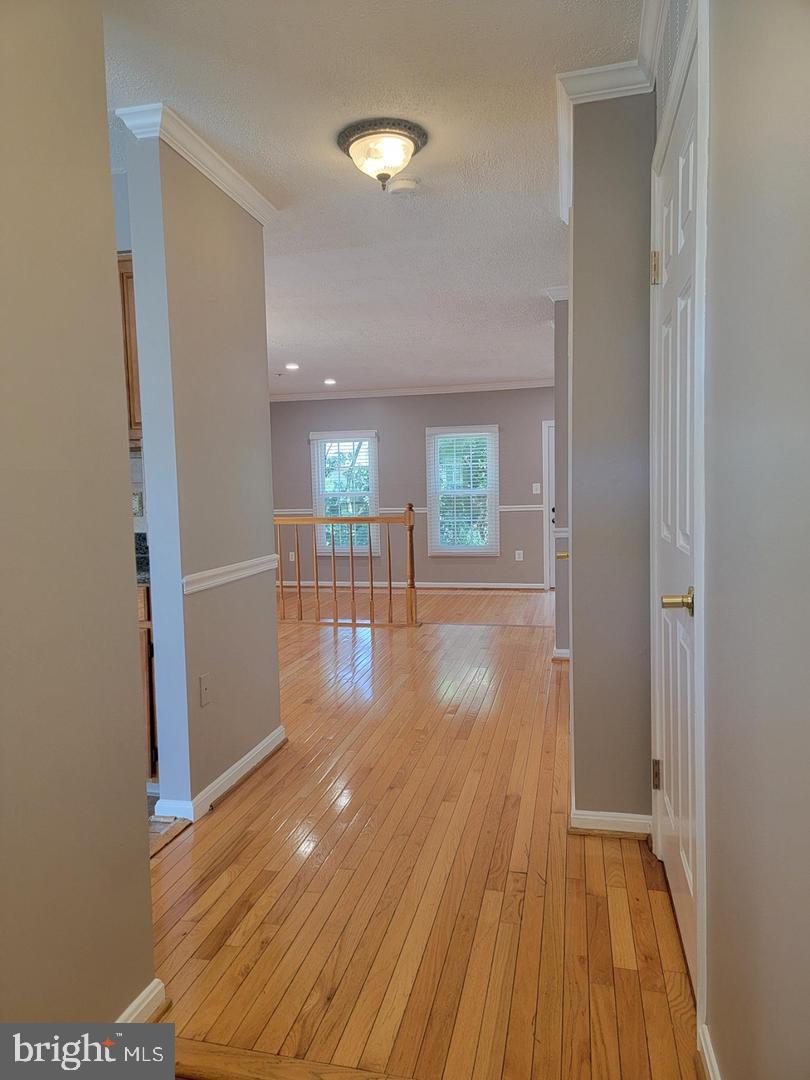 7843 Blue Gray Cir Property Photo 3