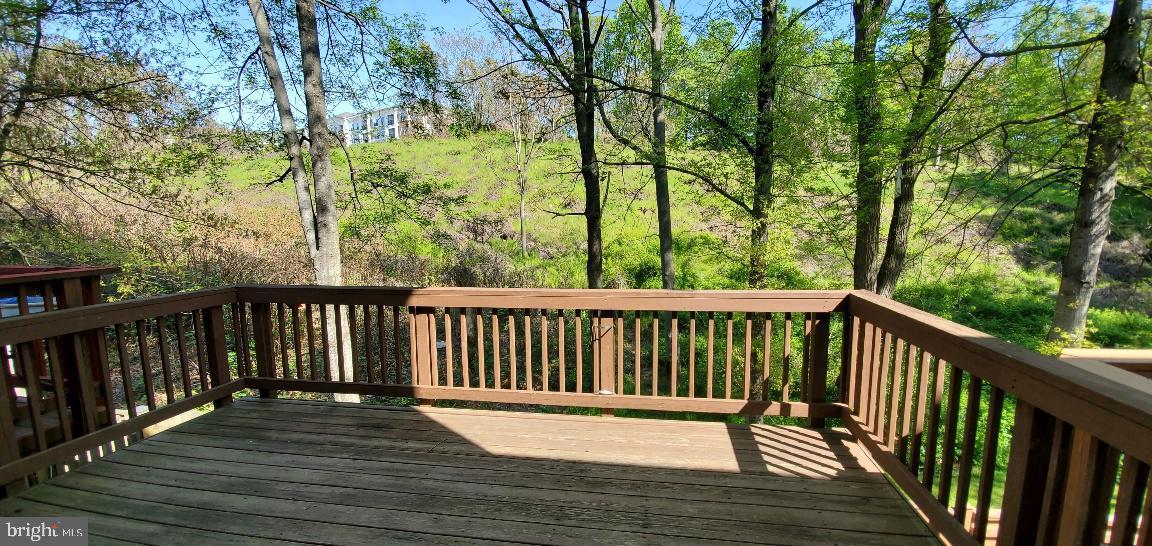 2036 Stargrass Ct Property Photo 3