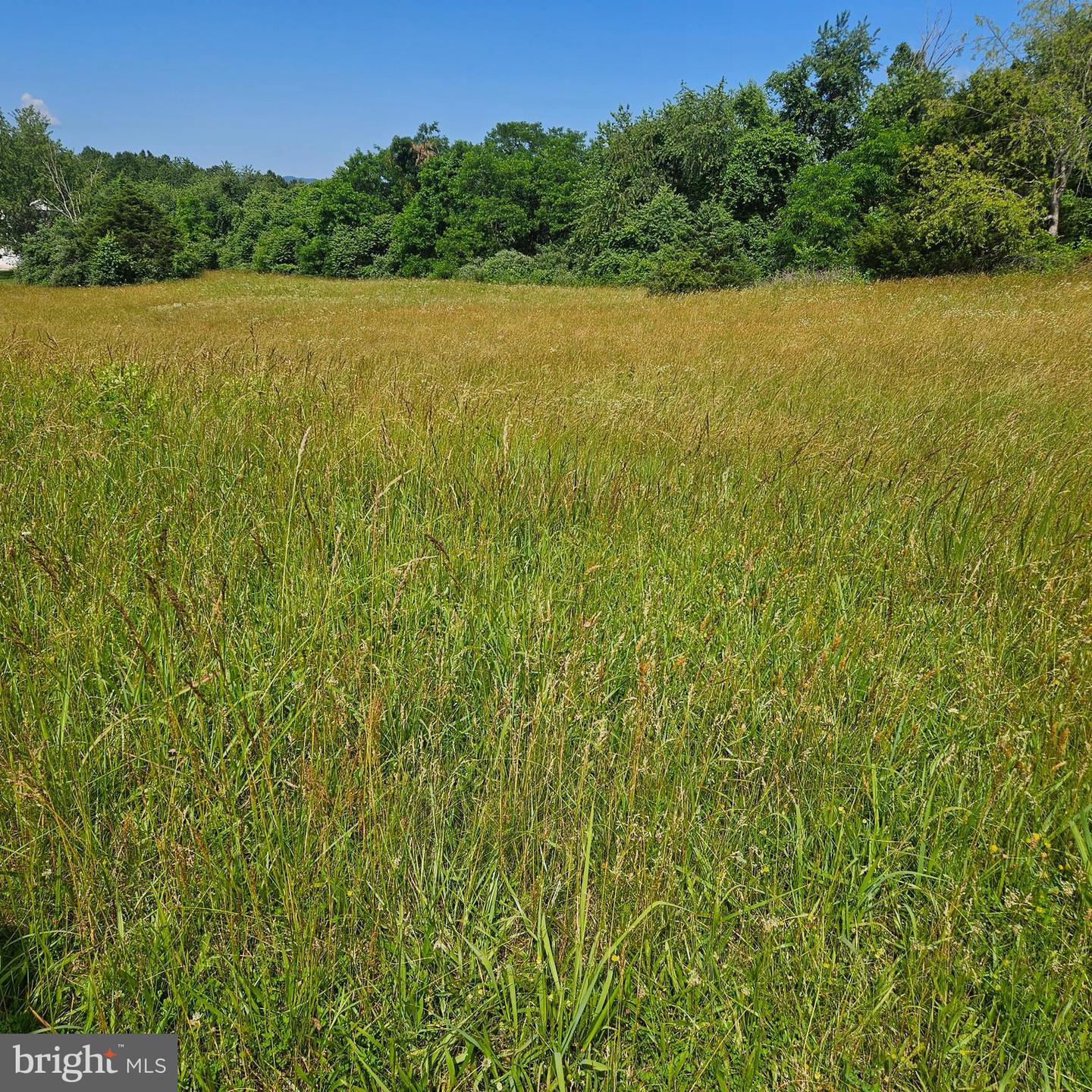 0 Pear Blossom Ln #9 Property Photo 1