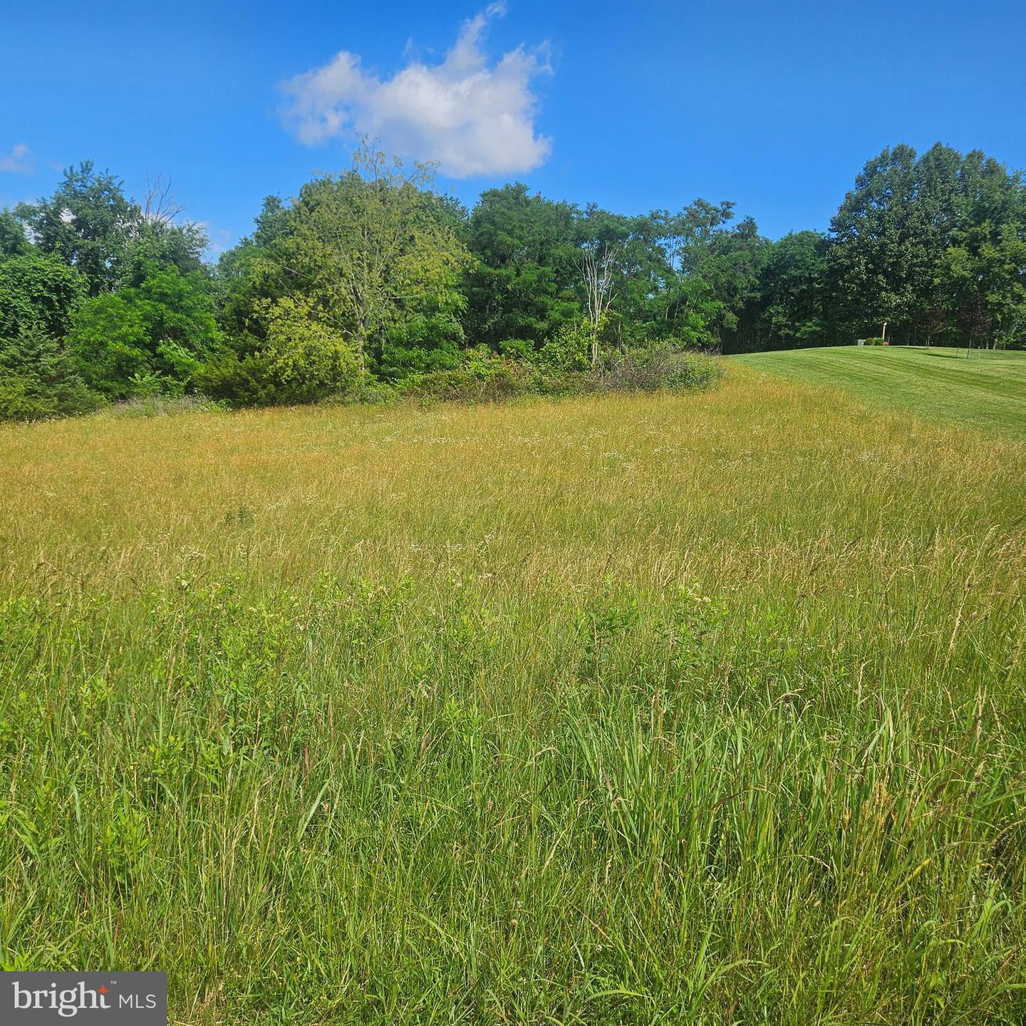 Pear Blossom Ln #lots 9 & 13 Property Photo 2