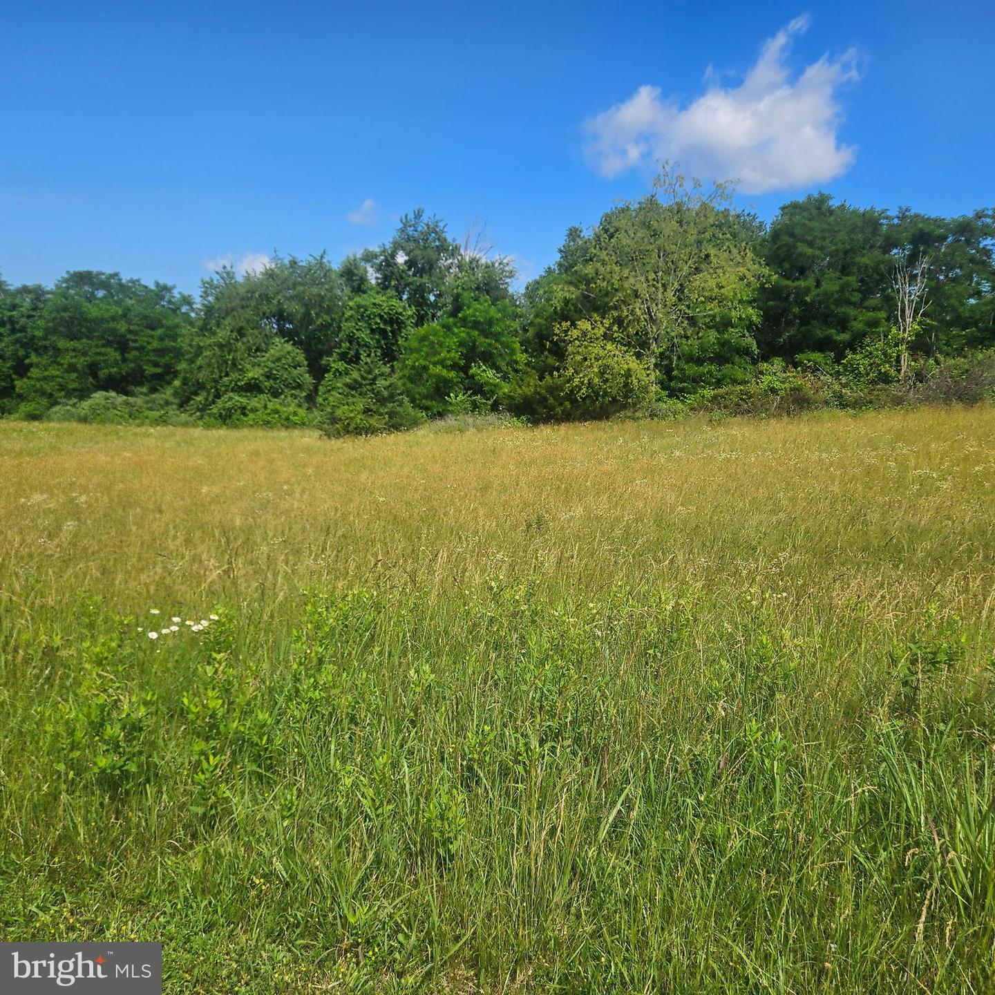 Pear Blossom Ln #lots 9 & 13 Property Photo 3