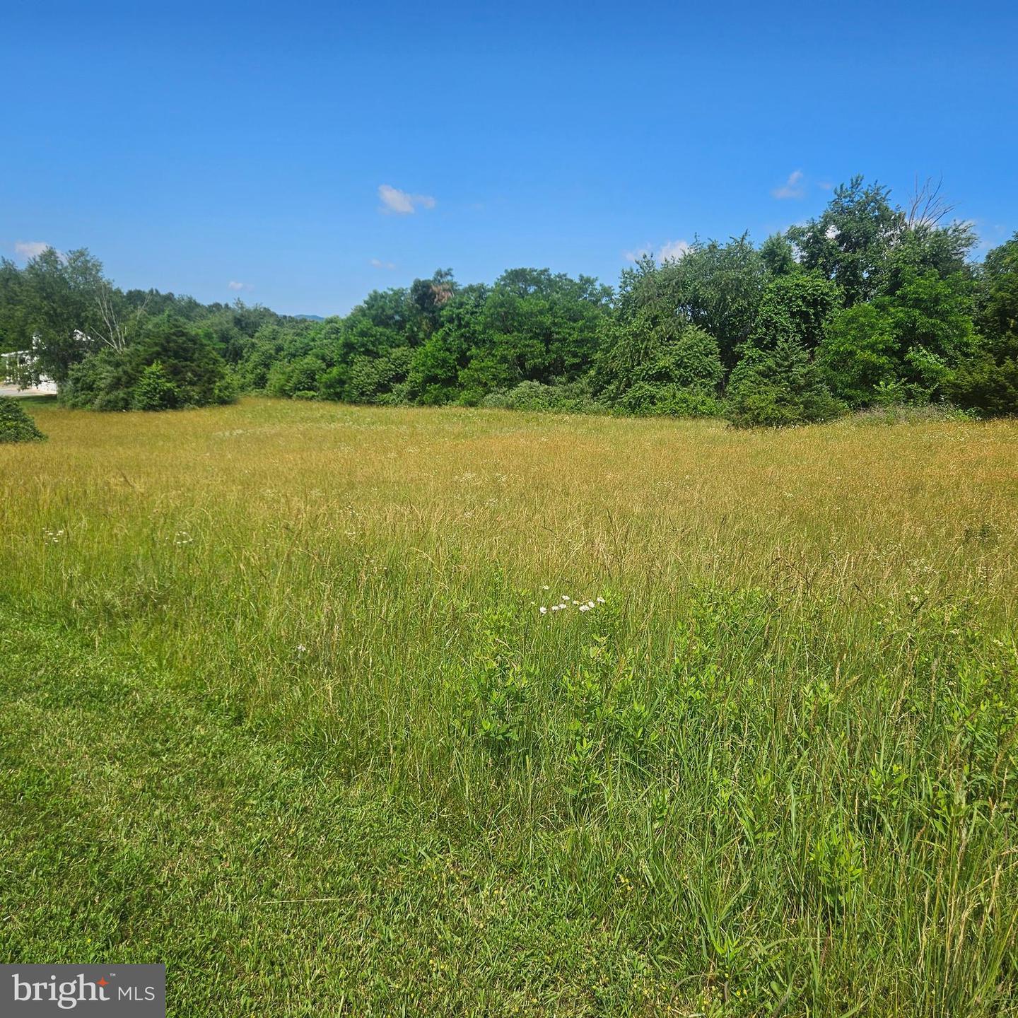 Pear Blossom Ln #lots 9 & 13 Property Photo 4