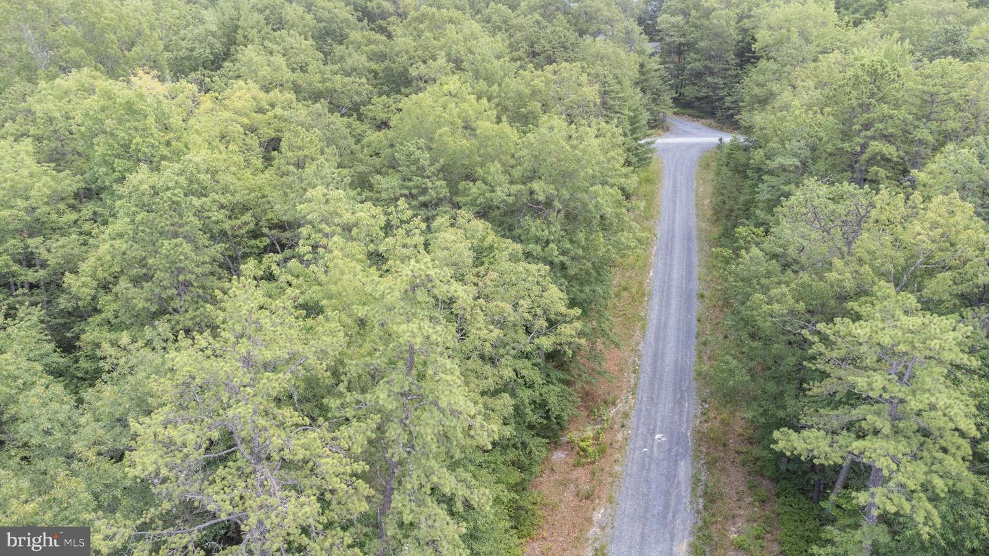 Tbd Birds Nest Rd Property Photo 3