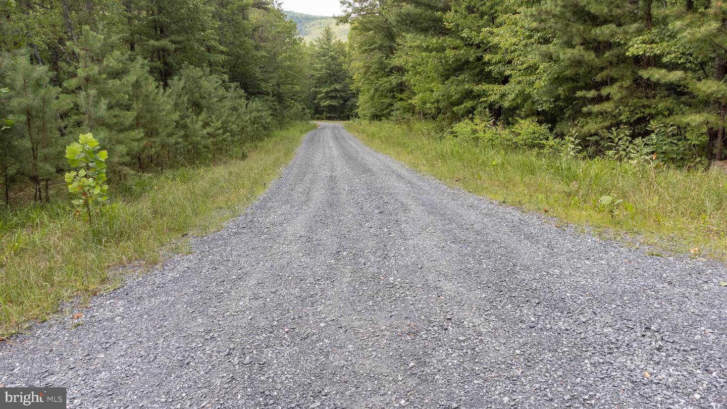Tbd Birds Nest Rd Property Photo 5
