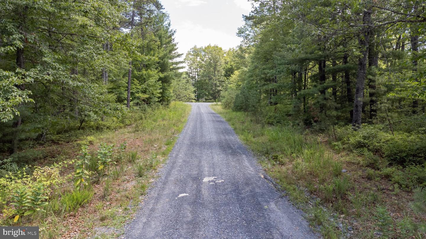 Tbd Birds Nest Rd Property Photo 6