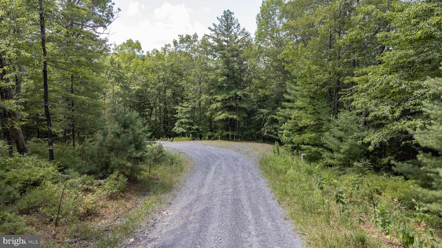 Tbd Birds Nest Rd Property Photo 7