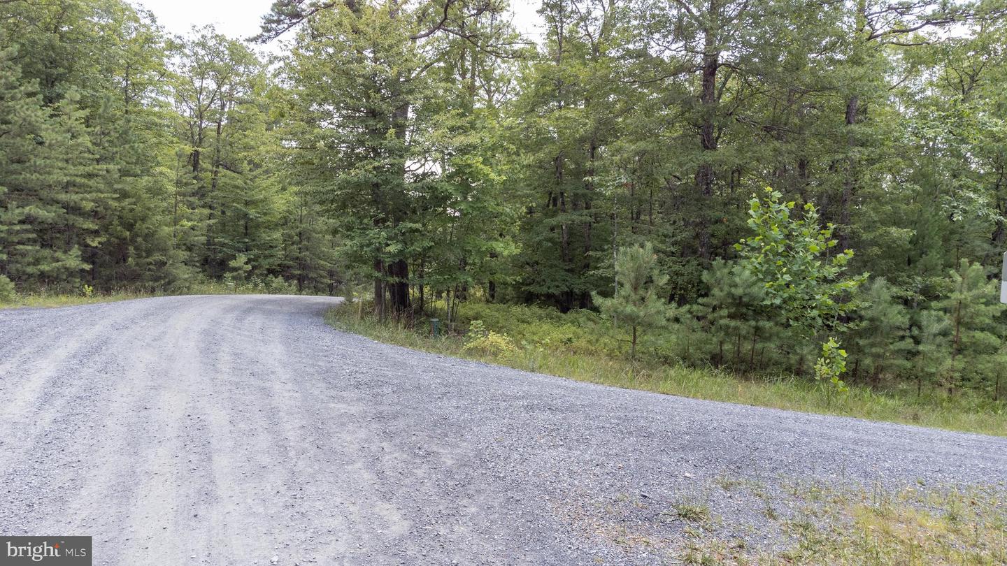 Tbd Birds Nest Rd Property Photo 8