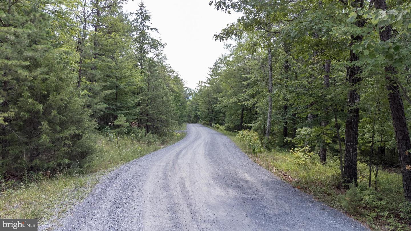 Tbd Birds Nest Rd Property Photo 9