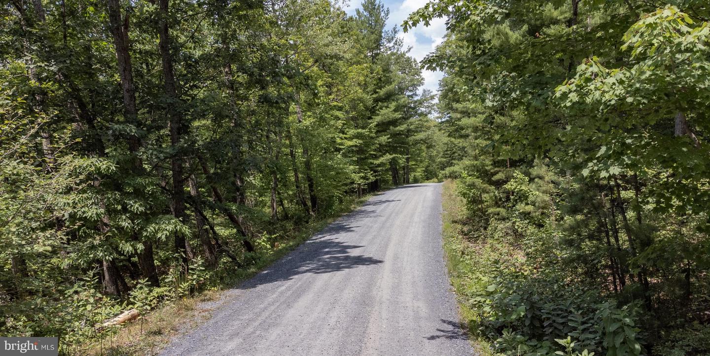 Tbd Birds Nest Rd Property Photo 11