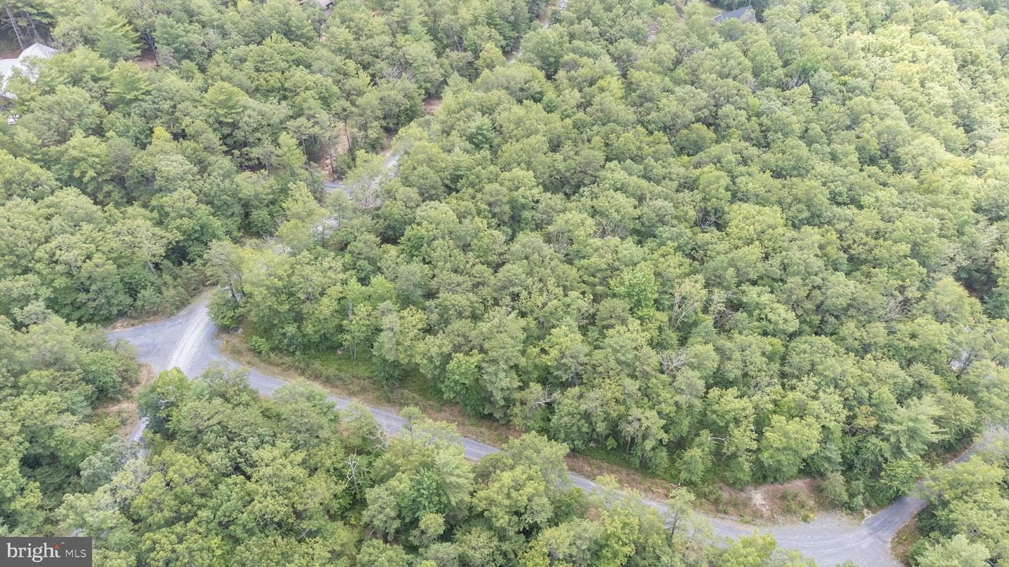 Tbd Birds Nest Rd Property Photo 16