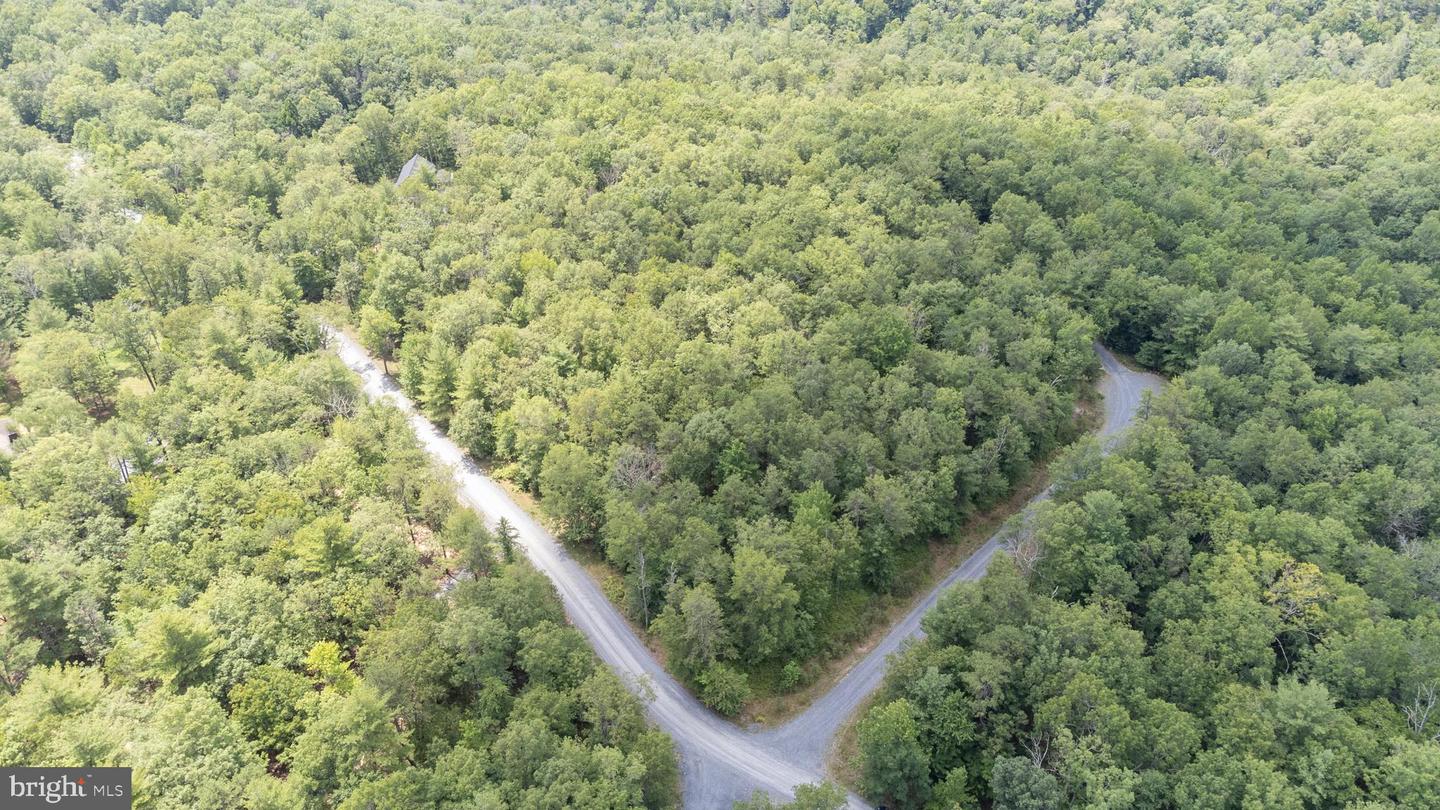 Tbd Birds Nest Rd Property Photo 17