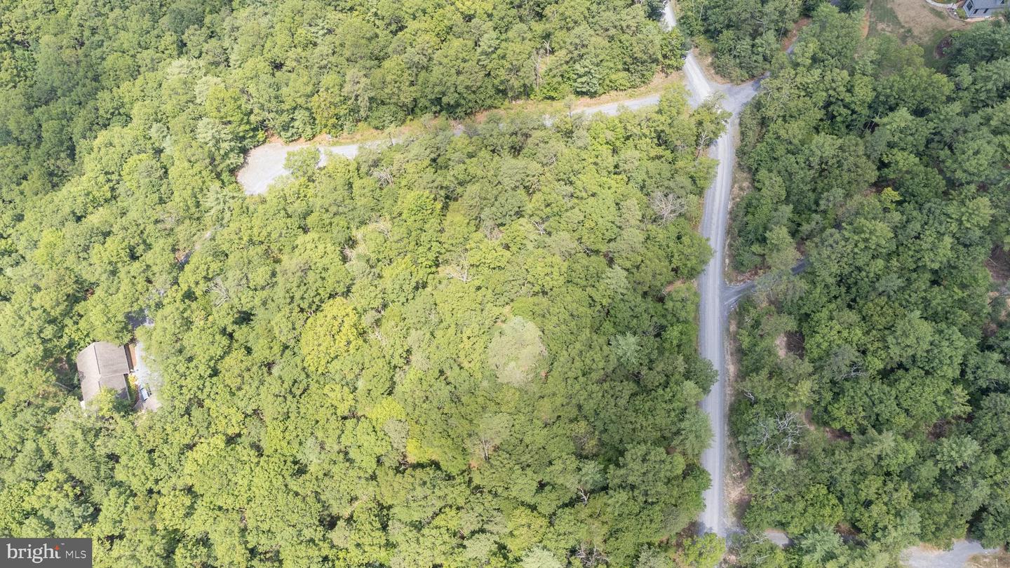 Tbd Birds Nest Rd Property Photo 19