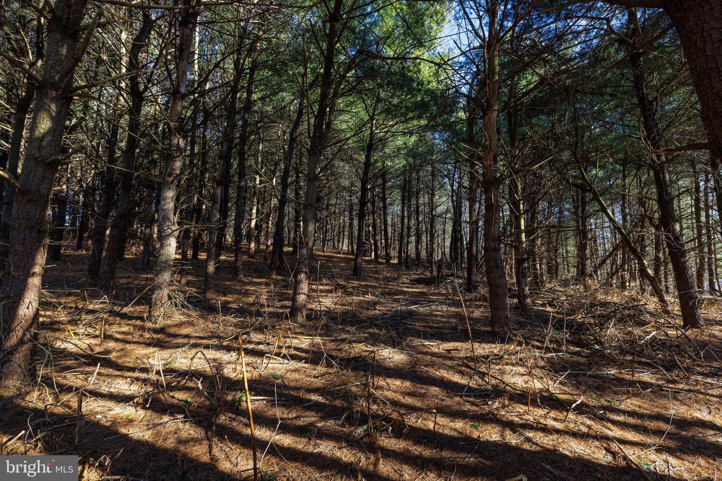 0 Fairview Rd Property Photo