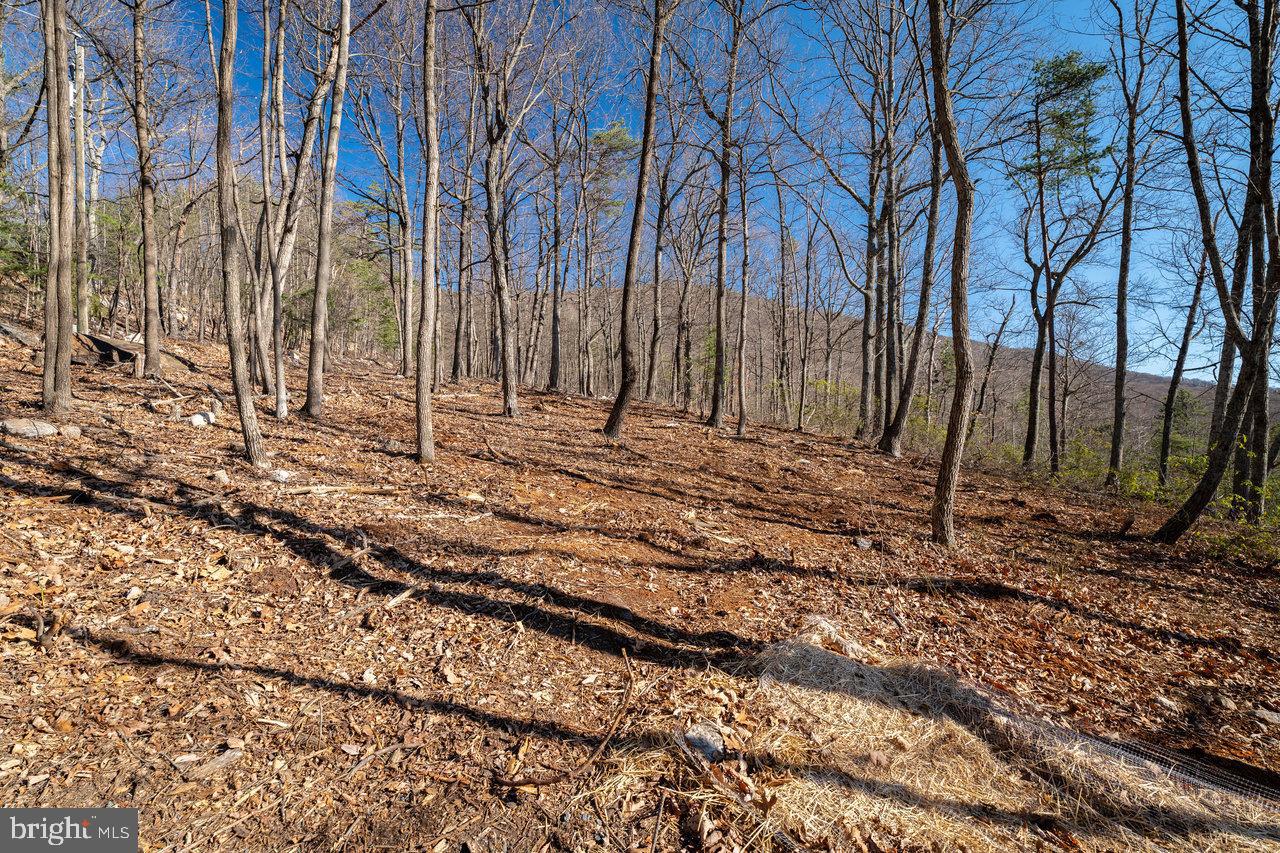 Sundance Mountain Rd Property Photo 3