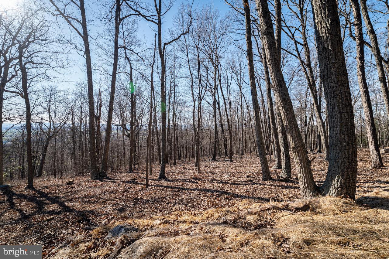Sundance Mountain Rd Property Photo 10