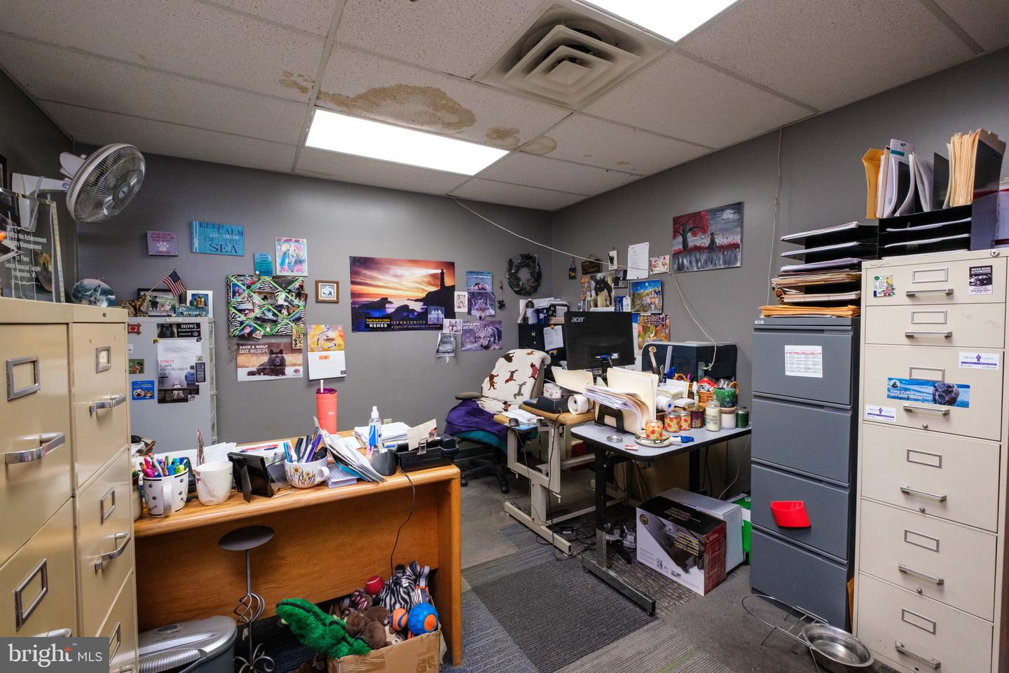 213 Dry River Rd #suite B Property Photo 18