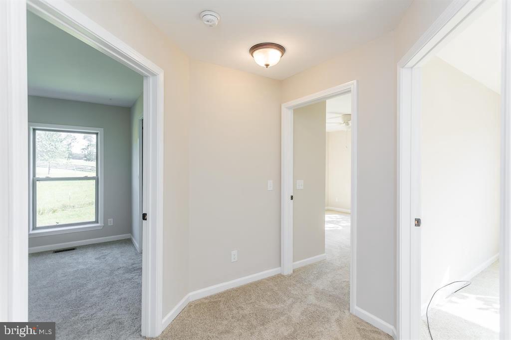 17333 Timberview Way Property Photo 41