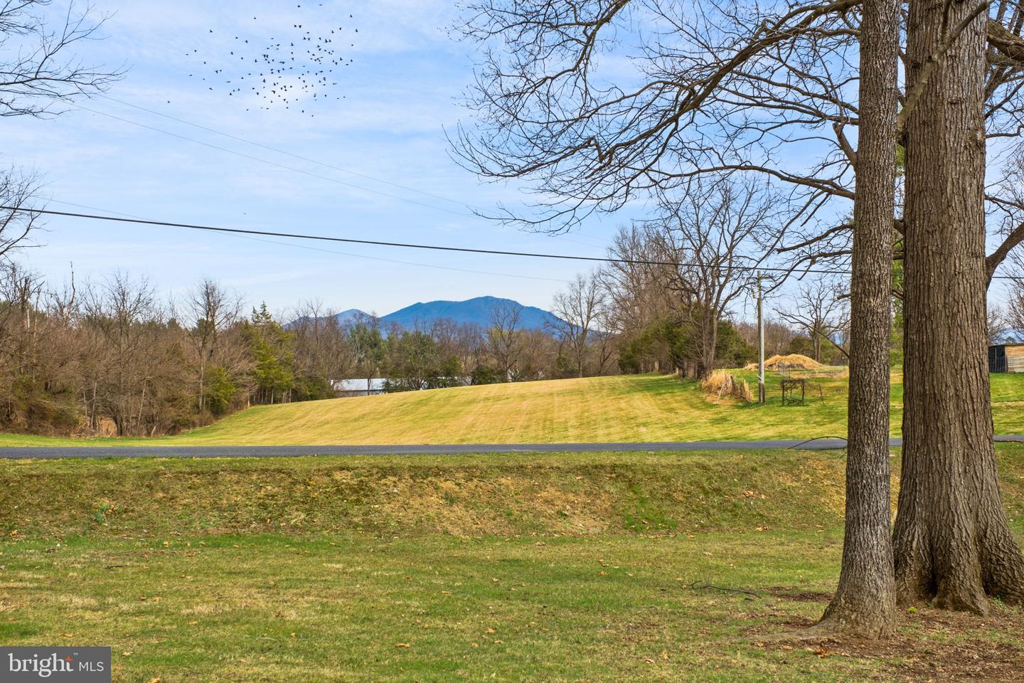 5640 Scotts Ford Rd Property Photo 18