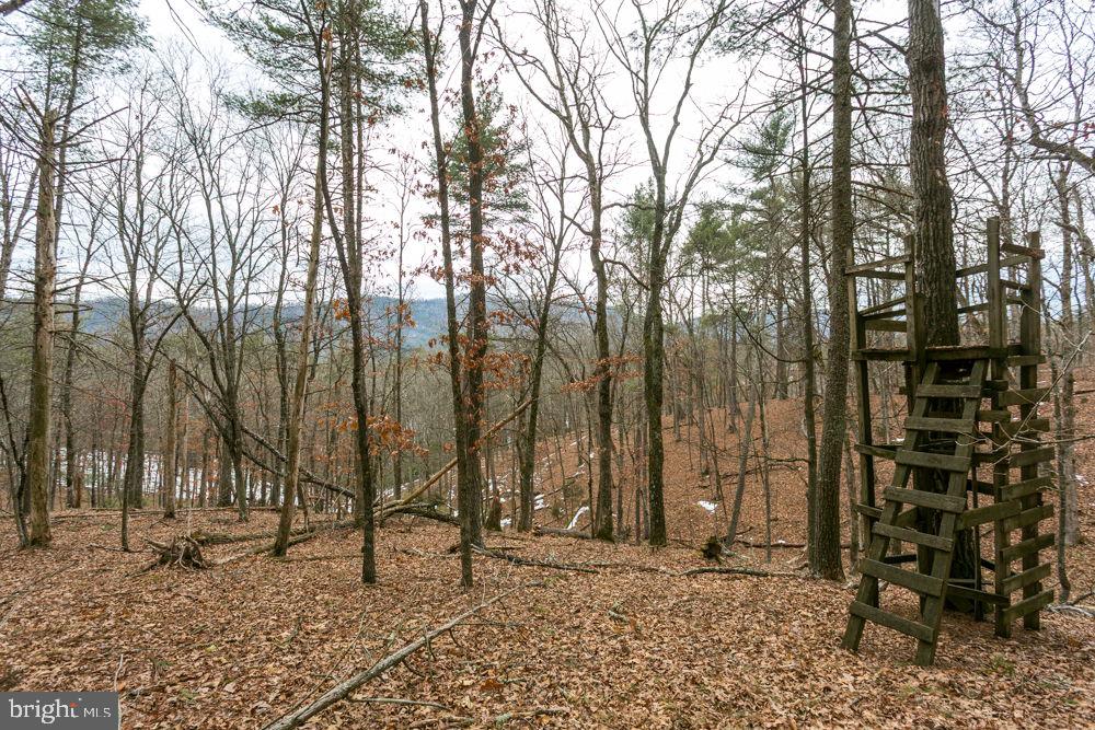 19962 Rainbow Ridge Rd Property Photo 38