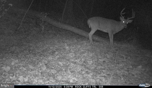 Hopkins Gap Rd Property Photo 1