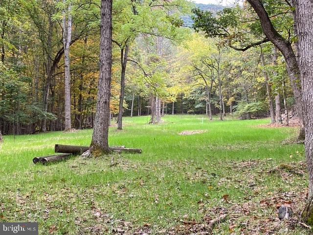 81.5 Acres Hopkins Gap Rd Property Photo 1