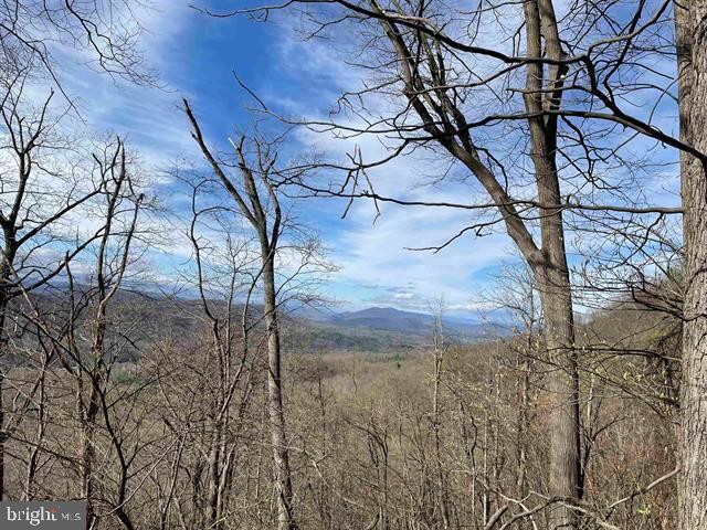 81.5 Acres Hopkins Gap Rd Property Photo 2