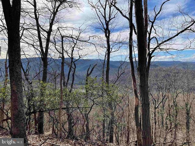 81.5 Acres Hopkins Gap Rd Property Photo 3