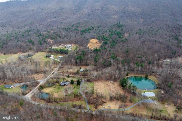 81.5 Acres Hopkins Gap Rd Property Photo 4