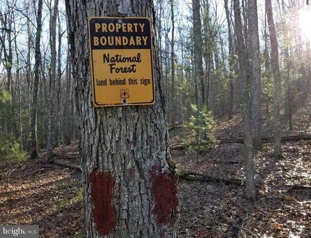81.5 Acres Hopkins Gap Rd Property Photo 6
