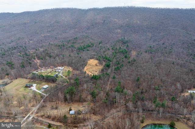81.5 Acres Hopkins Gap Rd Property Photo 7