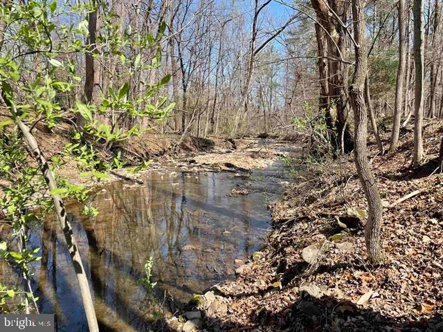 81.5 Acres Hopkins Gap Rd Property Photo 8